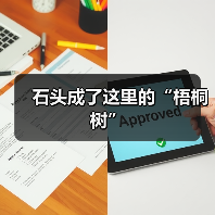 石头成了这里的“梧桐树”(图4) 石头成了这里的“梧桐树”(图4)