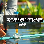 黄色品种天然石材销路看好(图2) 黄色品种天然石材销路看好(图2)