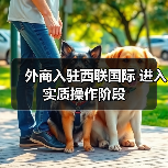 外商入驻西联国际 进入实质操作阶段（图4）