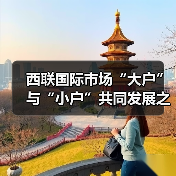西联国际市场“大户”与“小户”共同发展之路（图1）