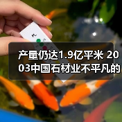 产量仍达1.9亿平米 2003中国石材业不平凡的一年（图4）