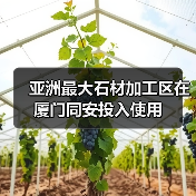 亚洲最大石材加工区在厦门同安投入使用(图2) 亚洲最大石材加工区在厦门同安投入使用(图2)