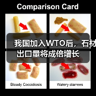 我国加入WTO后,石材出口量将成倍增长(图3) 我国加入WTO后,石材出口量将成倍增长(图3)