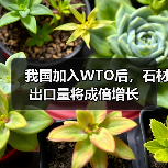我国加入WTO后,石材出口量将成倍增长(图4) 我国加入WTO后,石材出口量将成倍增长(图4)