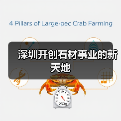 深圳开创石材事业的新天地（图3）