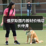 俄罗斯国内板材价格增长停滞(图3) 俄罗斯国内板材价格增长停滞(图3)