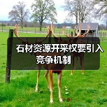 石材资源开采权要引入竞争机制(图2) 石材资源开采权要引入竞争机制(图2)