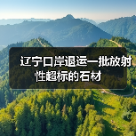 辽宁口岸退运一批放射性超标的石材(图1) 辽宁口岸退运一批放射性超标的石材(图1)