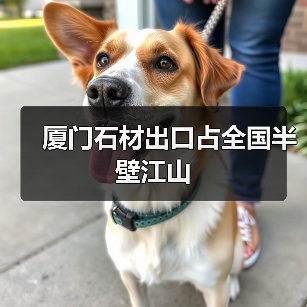 厦门石材出口占全国半壁江山(图2) 厦门石材出口占全国半壁江山(图2)