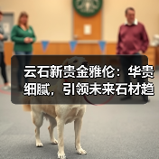 云石新贵金雅伦：华贵细腻，引领未来石材趋势？（图2）