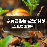 东南亚集装箱运价持续上涨原因解析(图1) 东南亚集装箱运价持续上涨原因解析(图1)
