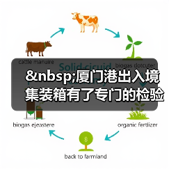 厦门港出入境集装箱有了专门的检验场(图2) 厦门港出入境集装箱有了专门的检验场(图2)