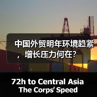 中国外贸明年环境趋紧,增长压力何在?(图2) 中国外贸明年环境趋紧,增长压力何在?(图2)