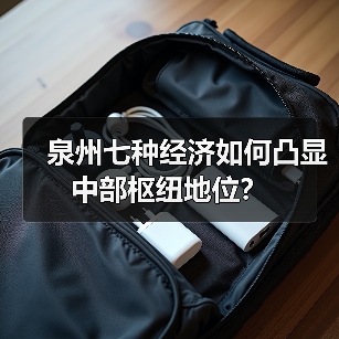 泉州七种经济如何凸显中部枢纽地位?(图2) 泉州七种经济如何凸显中部枢纽地位?(图2)