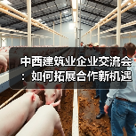 中西建筑业企业交流会：如何拓展合作新机遇？（图3）