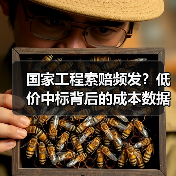 国家工程索赔频发？低价中标背后的成本数据库破解之道（图1）
