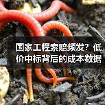 国家工程索赔频发？低价中标背后的成本数据库破解之道（图3）