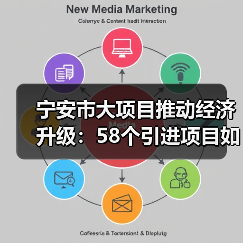 宁安市大项目推动经济升级：58个引进项目如何提升竞争力？（图4）