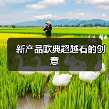 新产品欧典超越石的创意(图1) 新产品欧典超越石的创意(图1)
