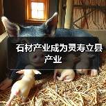 石材产业成为灵寿立县产业(图3) 石材产业成为灵寿立县产业(图3)