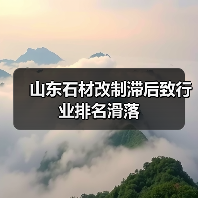 山东石材改制滞后致行业排名滑落（图1）